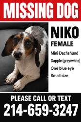 Reunited Female Dog last seen Watauga rd and Denton hwy, Watauga, TX 76148
