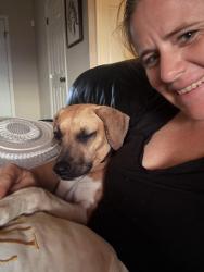 Reunited Female Dog last seen South 14ave, Anthony, FL 32617