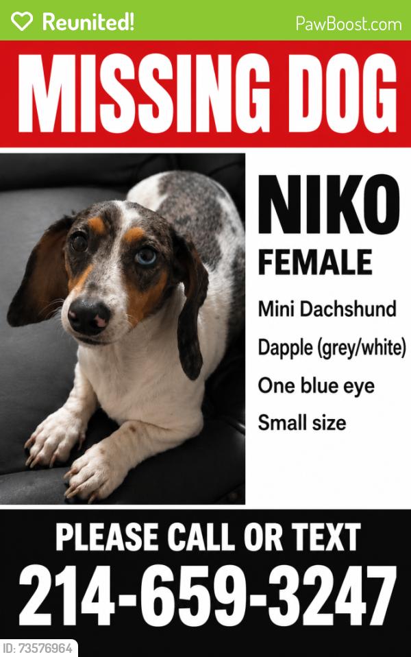 Reunited Female Dog last seen Watauga rd and Denton hwy, Watauga, TX 76148