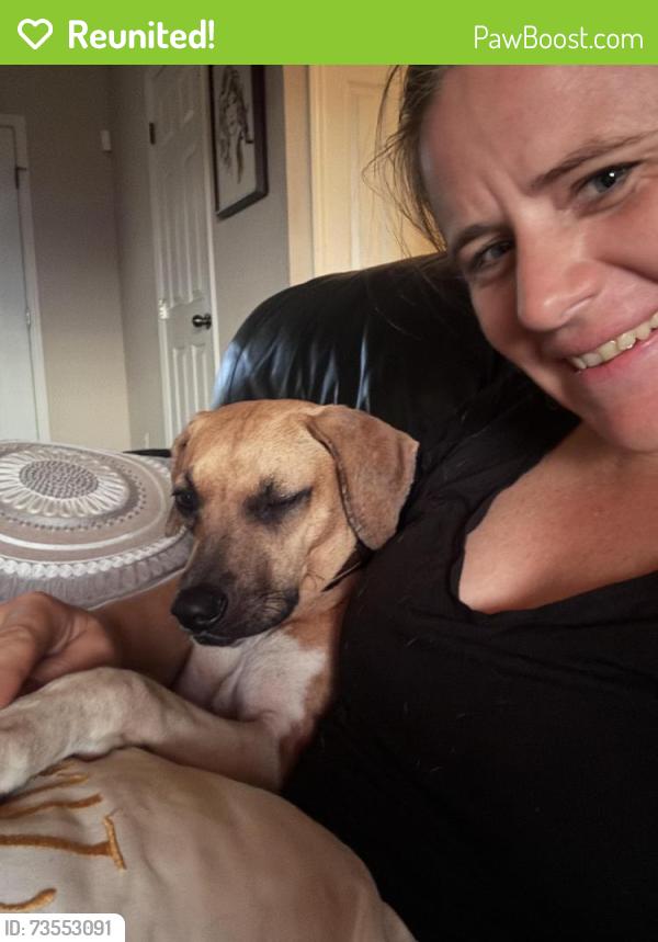 Reunited Female Dog last seen South 14ave, Anthony, FL 32617
