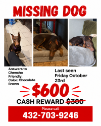 Lost Male Dog last seen East Golf Course Rd, Midland, TX 79701