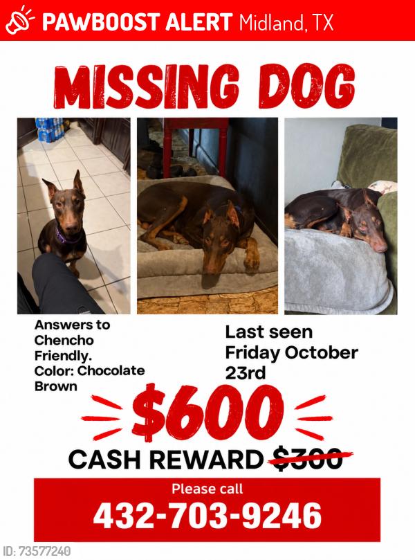 Lost Male Dog last seen East Golf Course Rd, Midland, TX 79701