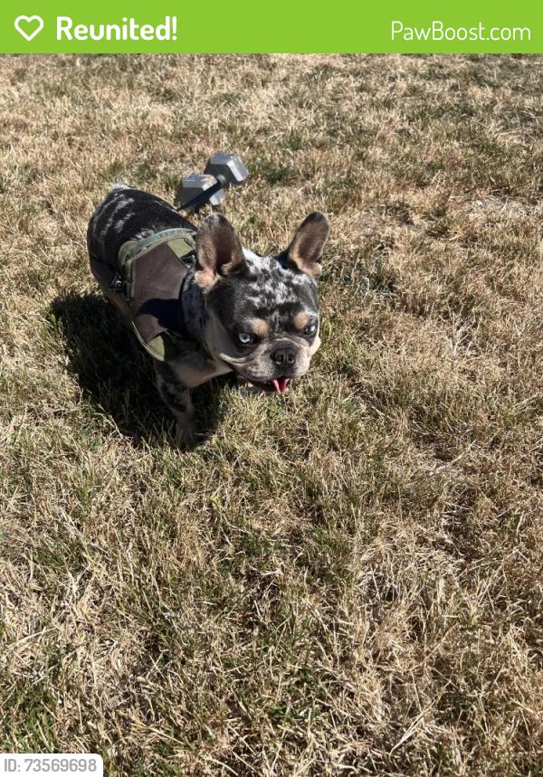 Reunited Male Dog last seen 21st, San Pablo, CA 94806