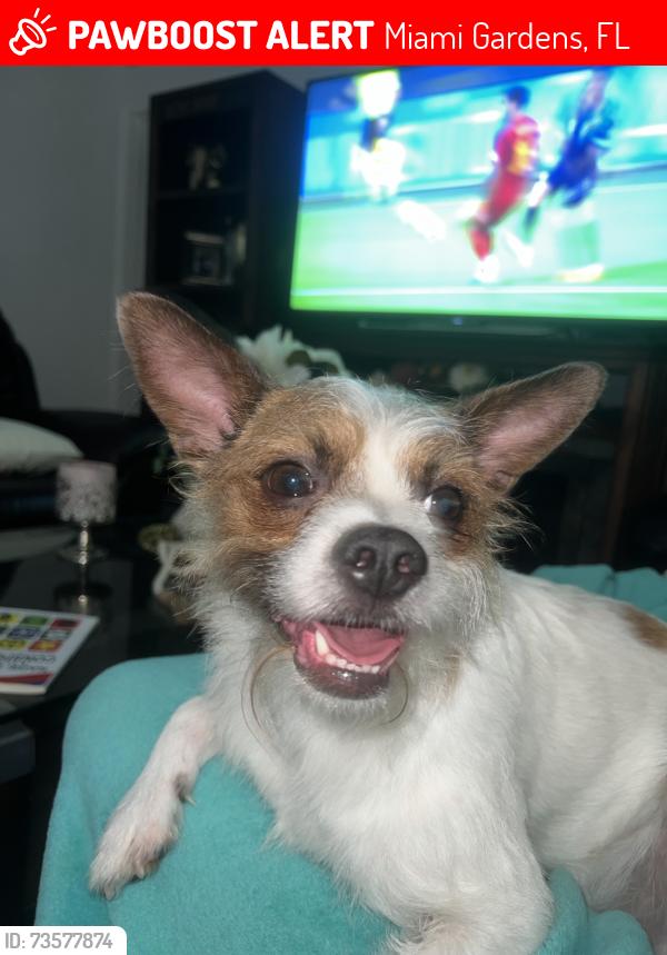 Lost Male Dog last seen Near, Miami Gardens, FL 33015