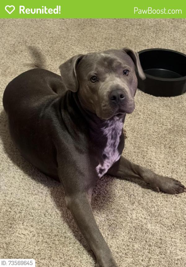 Reunited Male Dog last seen Greens rd, Pompano Beach, FL 33064