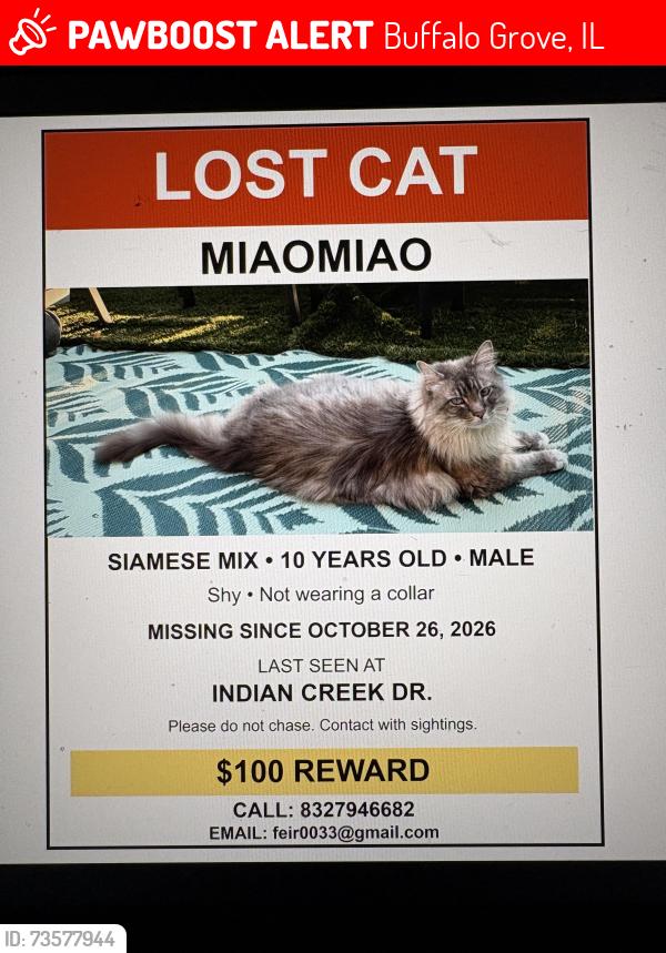 Lost Male Cat last seen Indiancreek dr, Buffalo Grove, IL 60089