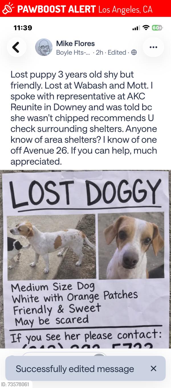 Lost Female Dog last seen Wabash and Mott, Los Angeles, CA 90033