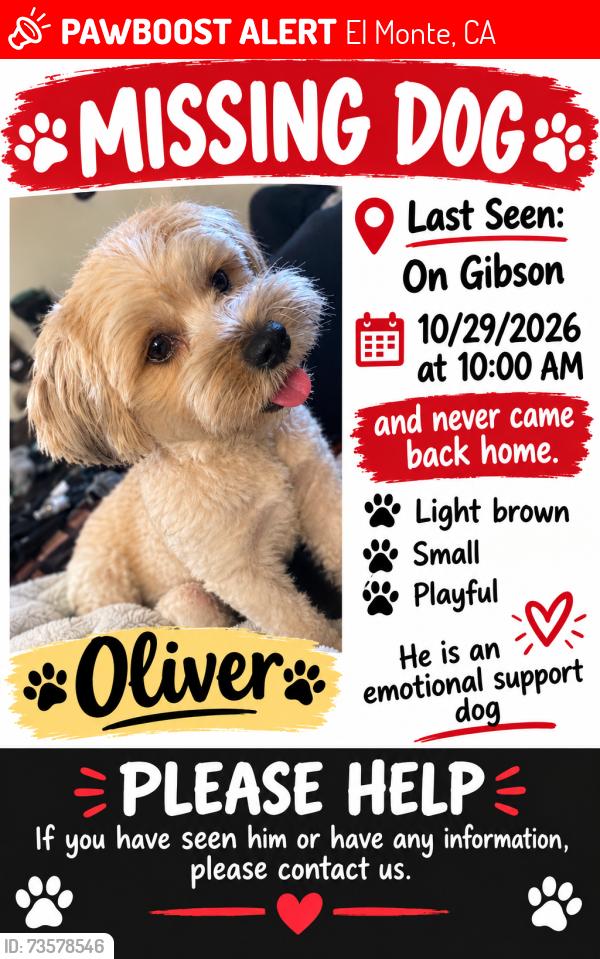Lost Male Dog last seen Gibson, El Monte, CA 91731