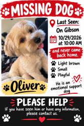 Lost Male Dog last seen Gibson, El Monte, CA 91731