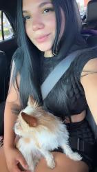 Reunited Female Dog last seen Near parkway lane, Arlington, TX 76010