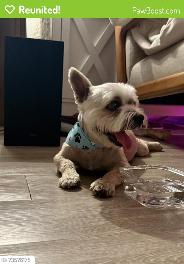 Reunited Male Dog last seen Sabal Chase and Miami Dade College, Miami, FL 33176