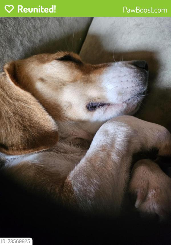 Reunited Female Dog last seen The Pearl, Micanopy, FL 32667